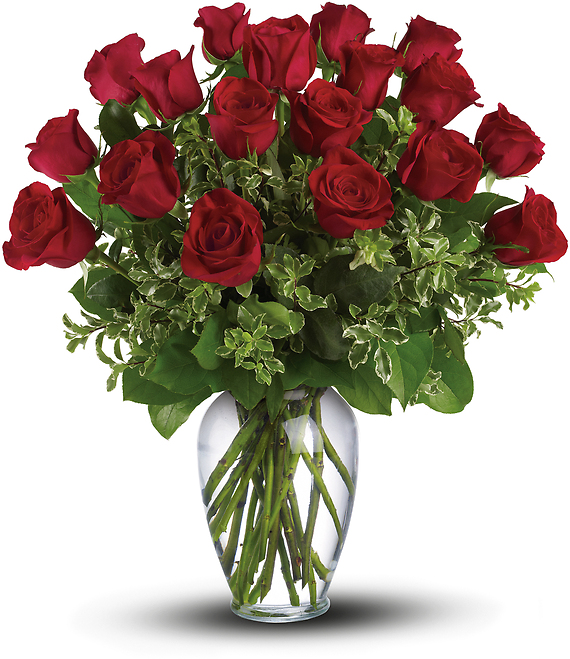 Dozen Elegant Roses - Our Best Roses