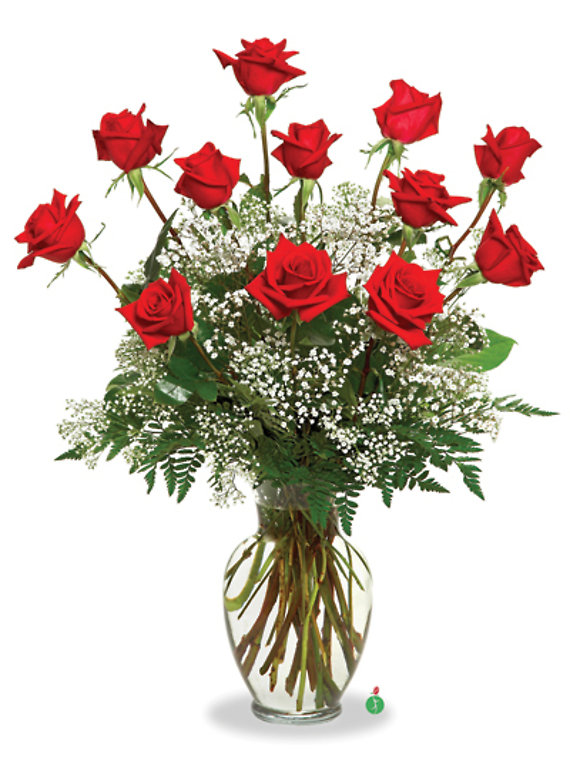 Dozen Ecuadorian Roses